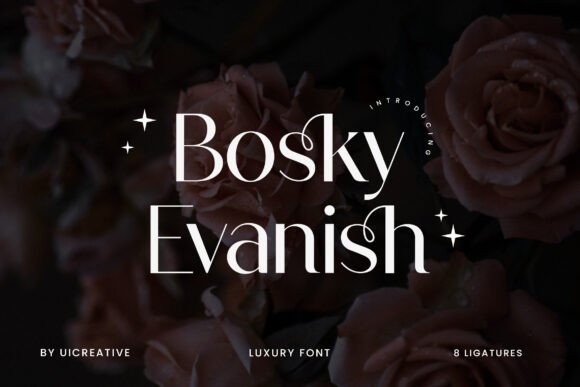 Bosky Evanish: A Designer’s Practical Review