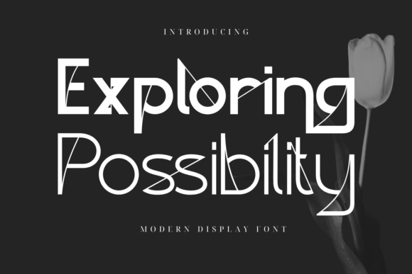 Exploring Possibility: A Refined Display Font for Editorial Elegance